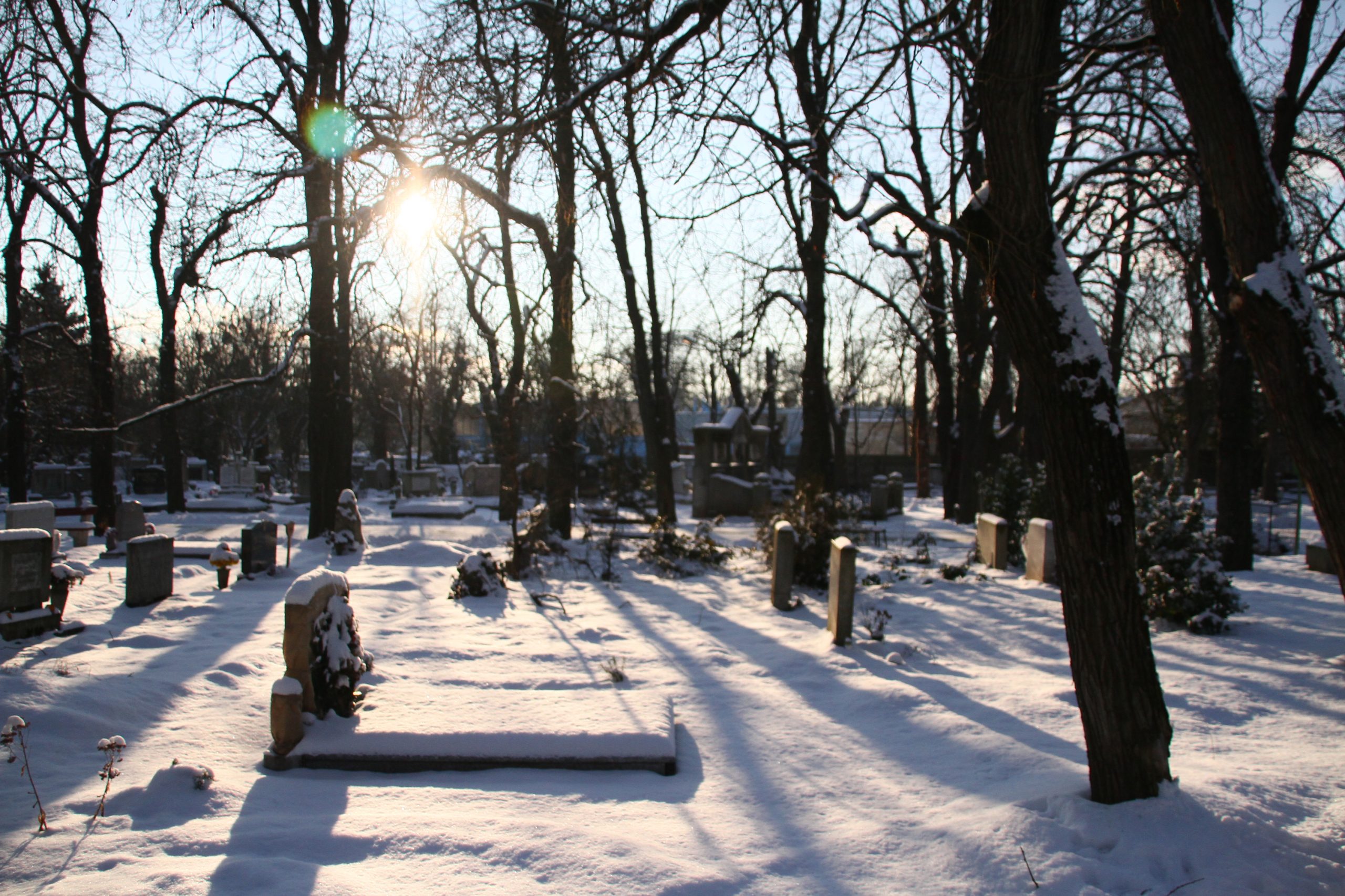 Kétes hátterű társaságok járják a temetőket, megrendelésre bármit ellopnak